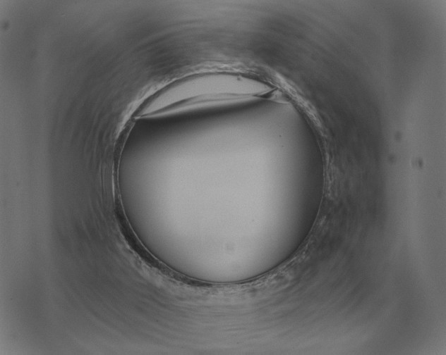 X0000073540011200608211906