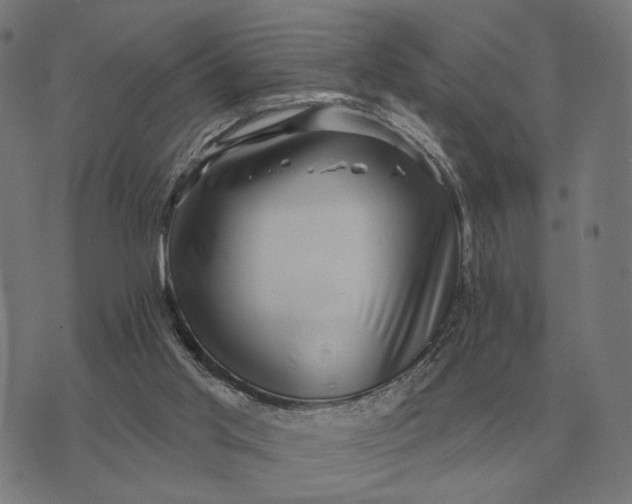 X0000073540013200608211906