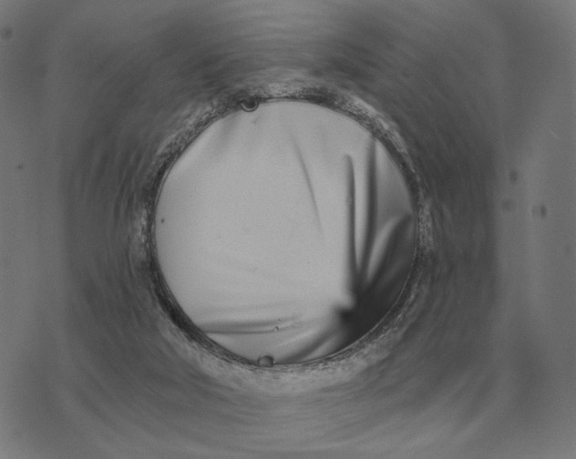 X0000073540018200608211906