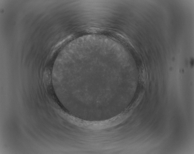 X0000073540043200608211906