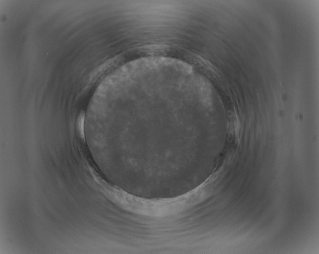 X0000073540047200608211905