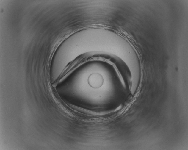 X0000073540049200608211905