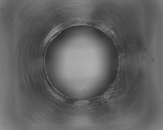 X0000073540051200608211905