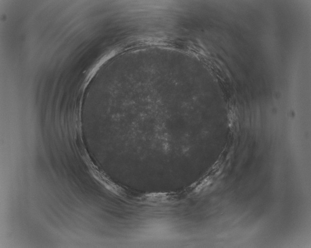 X0000073540052200608211905