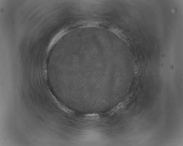 X0000073540053200608211905