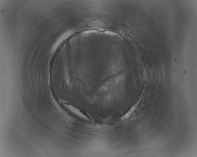 X0000073540054200608211905