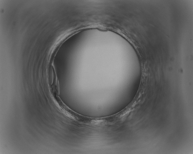 X0000073540055200608211905