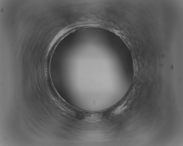 X0000073540056200608211905