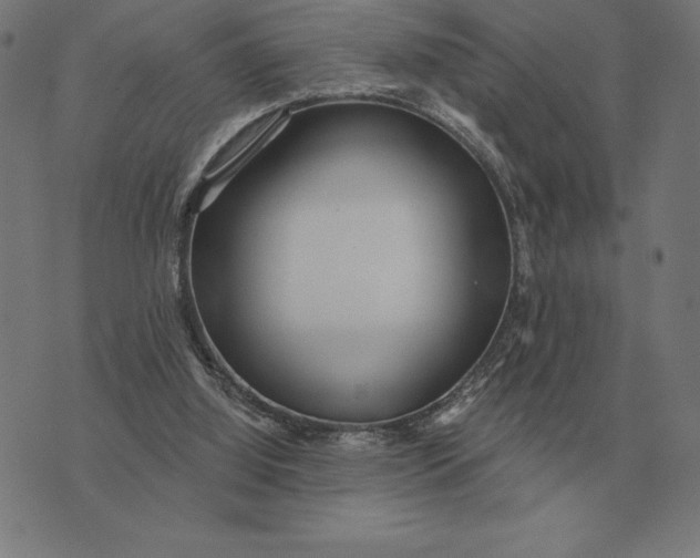 X0000073540060200608211905