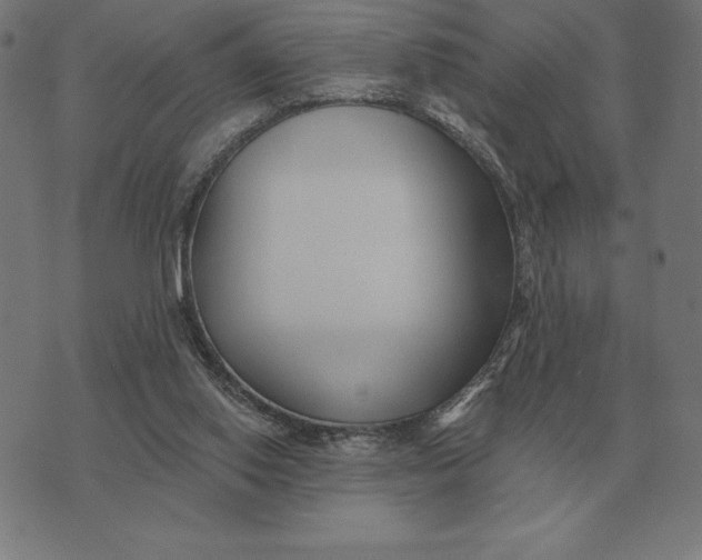 X0000073540062200608211905