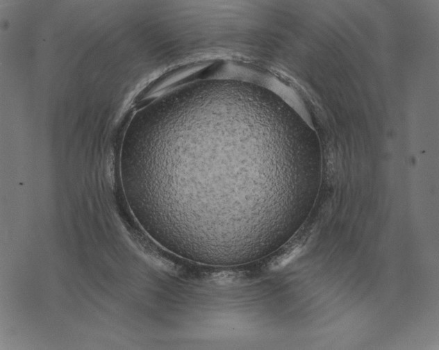 X0000073540064200608211905
