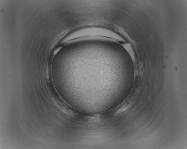 X0000073540068200608211905