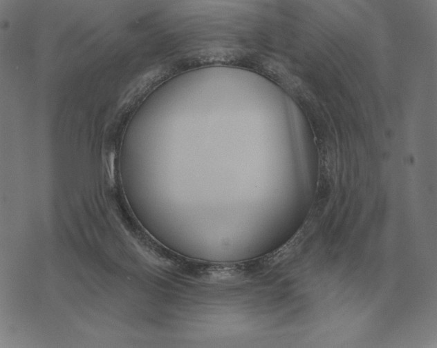 X0000073540070200608211905
