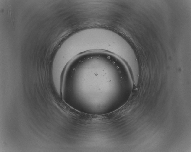 X0000073540072200608211905