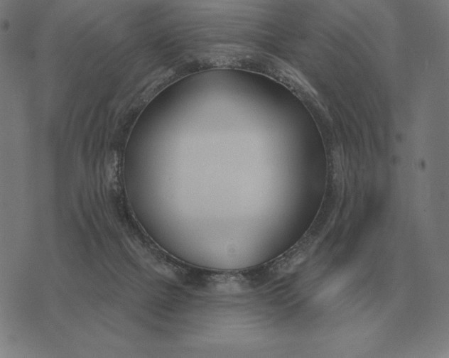 X0000073540073200608211905