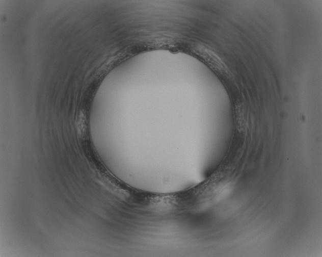 X0000073540077200608211905