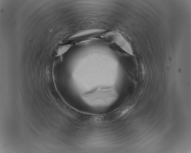 X0000073540080200608211905