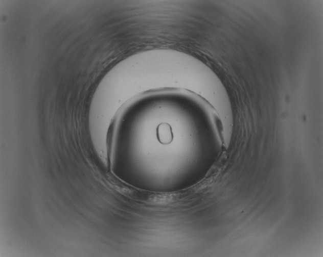 X0000073540084200608211905