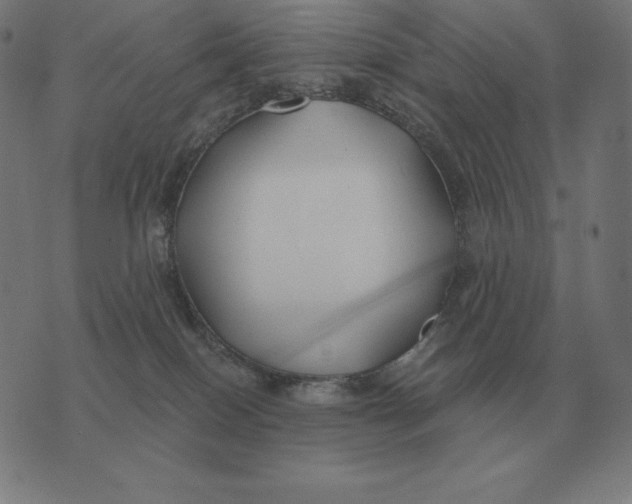 X0000073540086200608211905