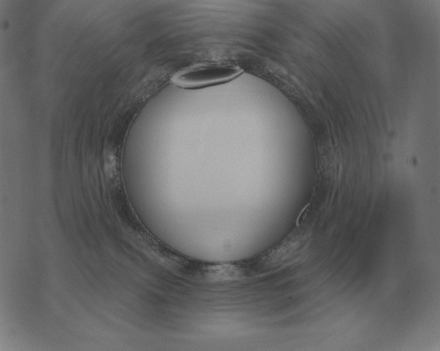 X0000073540087200608211905