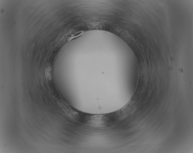X0000073540090200608211905