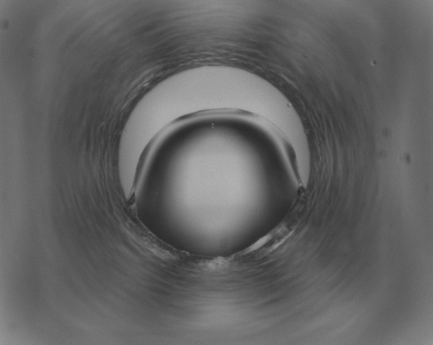 X0000073540092200608211905