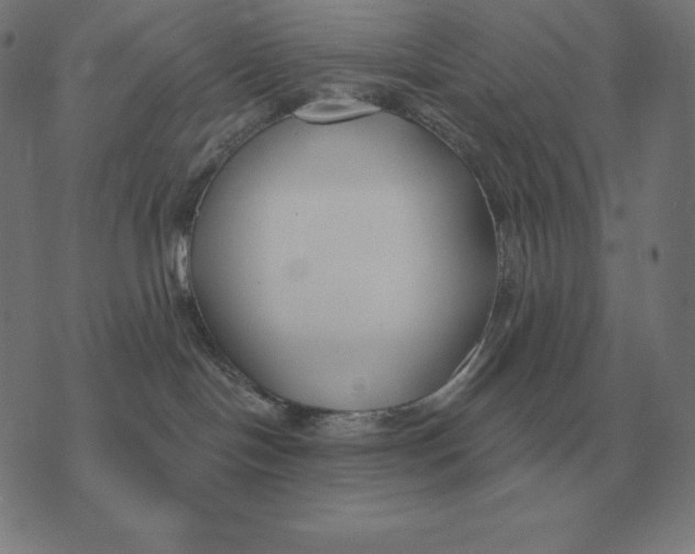 X0000073540094200608211905
