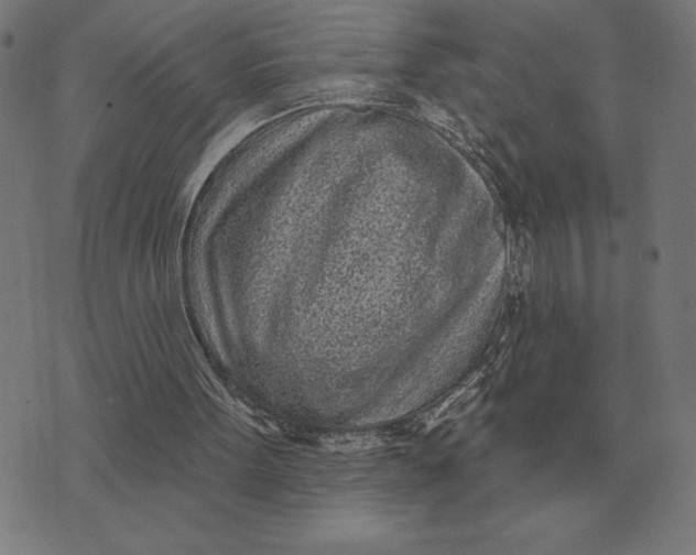 X0000073540099200608211905
