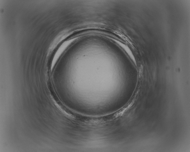 X0000073540101200608211905