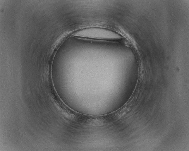 X0000073540107200608211905