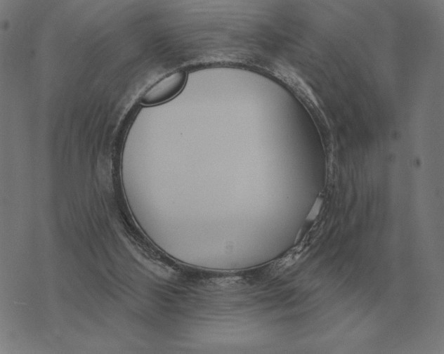 X0000073540108200608211904