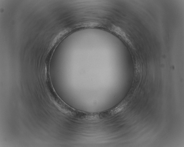 X0000073540110200608211904