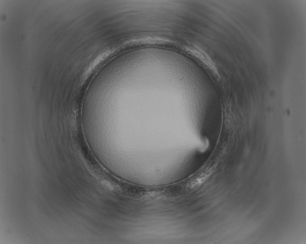 X0000073540111200608211904