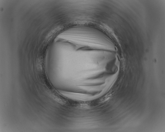 X0000073540114200608211904