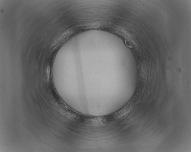 X0000073540118200608211904