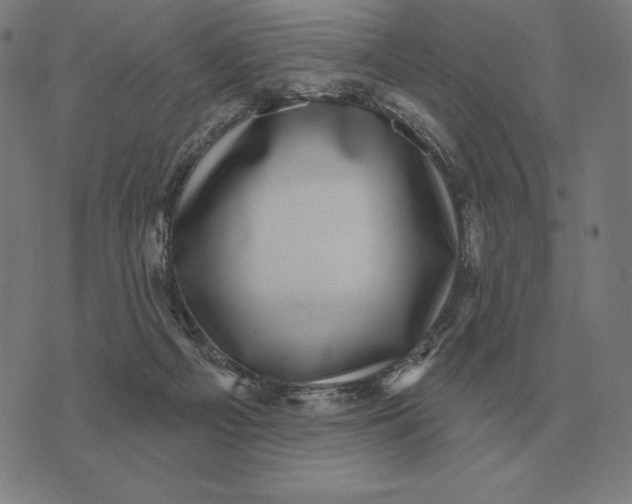 X0000073540121200608211904