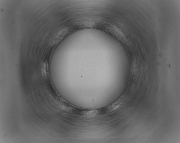 X0000073540122200608211904