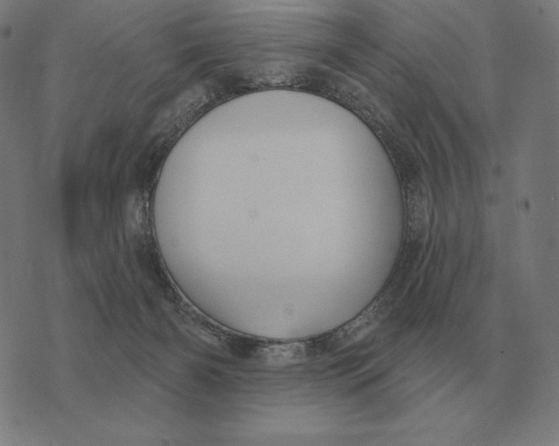 X0000073540126200608211904