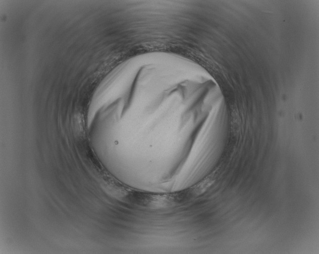 X0000073540130200608211904
