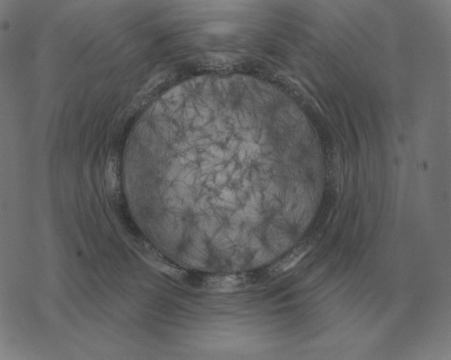 X0000073540131200608211904