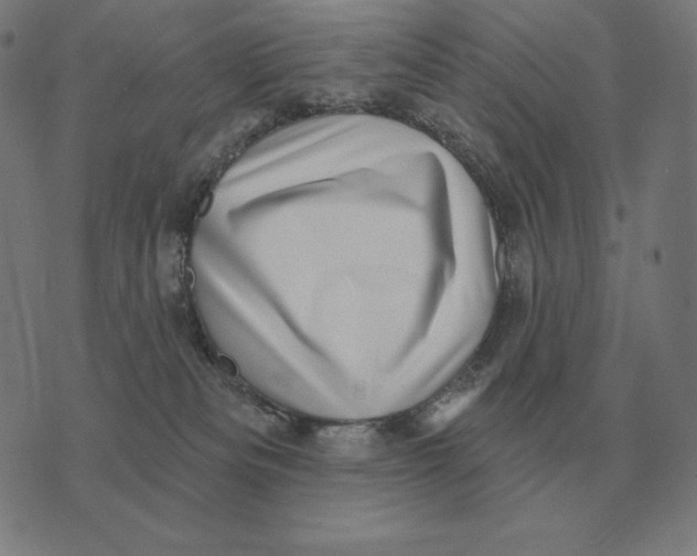 X0000073540133200608211904