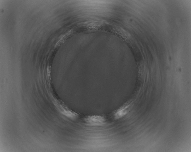 X0000073540137200608211904