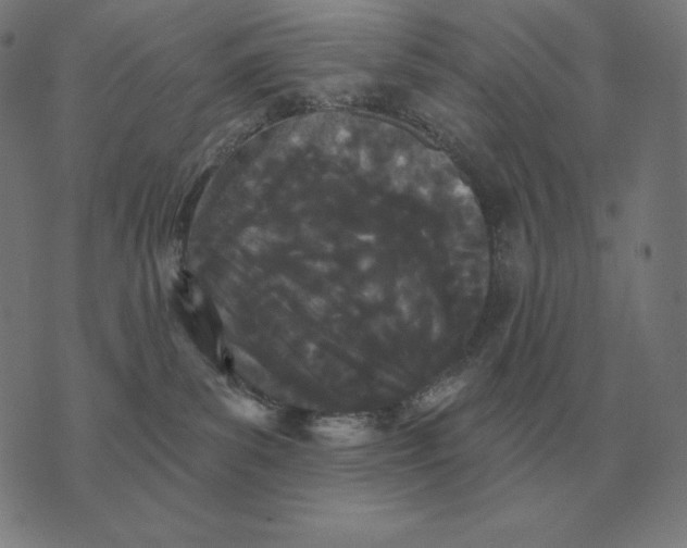 X0000073540139200608211904