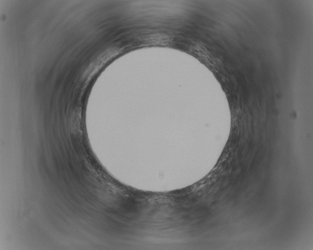 X0000073540146200608211903