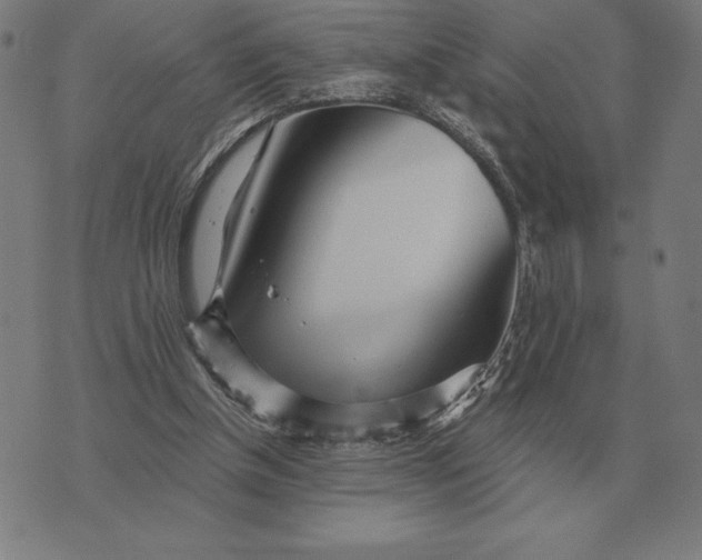 X0000073540154200608211903