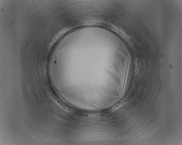 X0000073540155200608211903