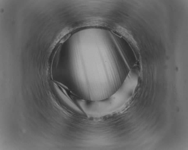 X0000073540156200608211903