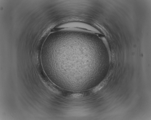 X0000073540158200608211903