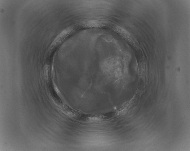 X0000073540167200608211903