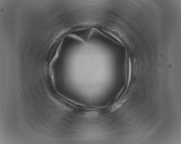 X0000073540168200608211904